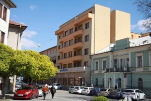 V Piešťanskej nemocnici v lete deťom ošetrujú najmä zlomeniny rúk a poranenia hlavy. 