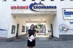 Na krok od záchranky, ale vojsť ekonómka nesmie. Prelomový verdikt má, pracovať nemôže
