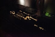 Originály kostrových pozostatkov australopiteka Lucy, ktoré sú dočasne súčasťou expozície Ľudia a ich predkovia v Národnom múzeu v Prahe.