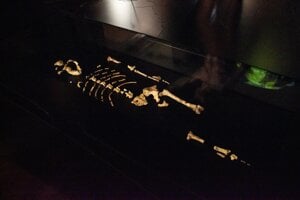 Originály kostrových pozostatkov australopiteka Lucy, ktoré sú dočasne súčasťou expozície Ľudia a ich predkovia v Národnom múzeu v Prahe.