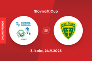 TJ Sokol Zubrohlava - MŠK Žilina: ONLINE prenos zo zápasu 3. kola Slovnaft Cupu.