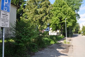 Platené parkovisko vedľa obchodného domu Jednoty.