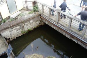 V týchto miestach preskočil utečenec zábradlie a skočil do Pereca. Incident sa odohral kúsok od Okresného súdu v Leviciach na Mlynskej ulici. 
