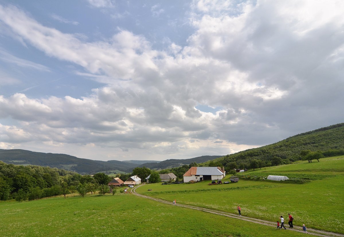 Online nové pujcky pred výplatou dačice picture 1