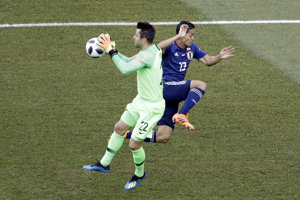 Veľký čierny kohút v Japonsku