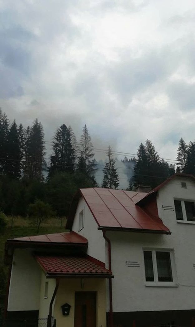 Snímka, na ktorej je v pozadí vidno miesto, kde horí les. (zdroj: Valsidalv Okdaš Lobidaš)