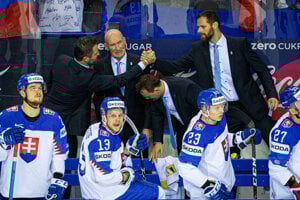 Craig Ramsay počas zápasu Slovensko - Francúzsko na MS v hokeji 2019.