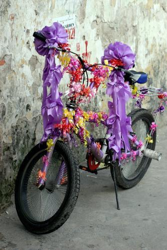 bicykel-s-maslami_tasrafp.jpg