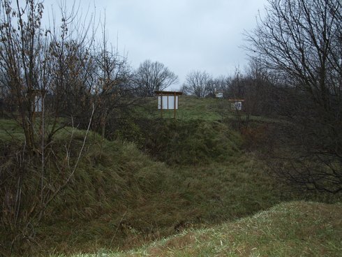 19_r1614_res.jpg