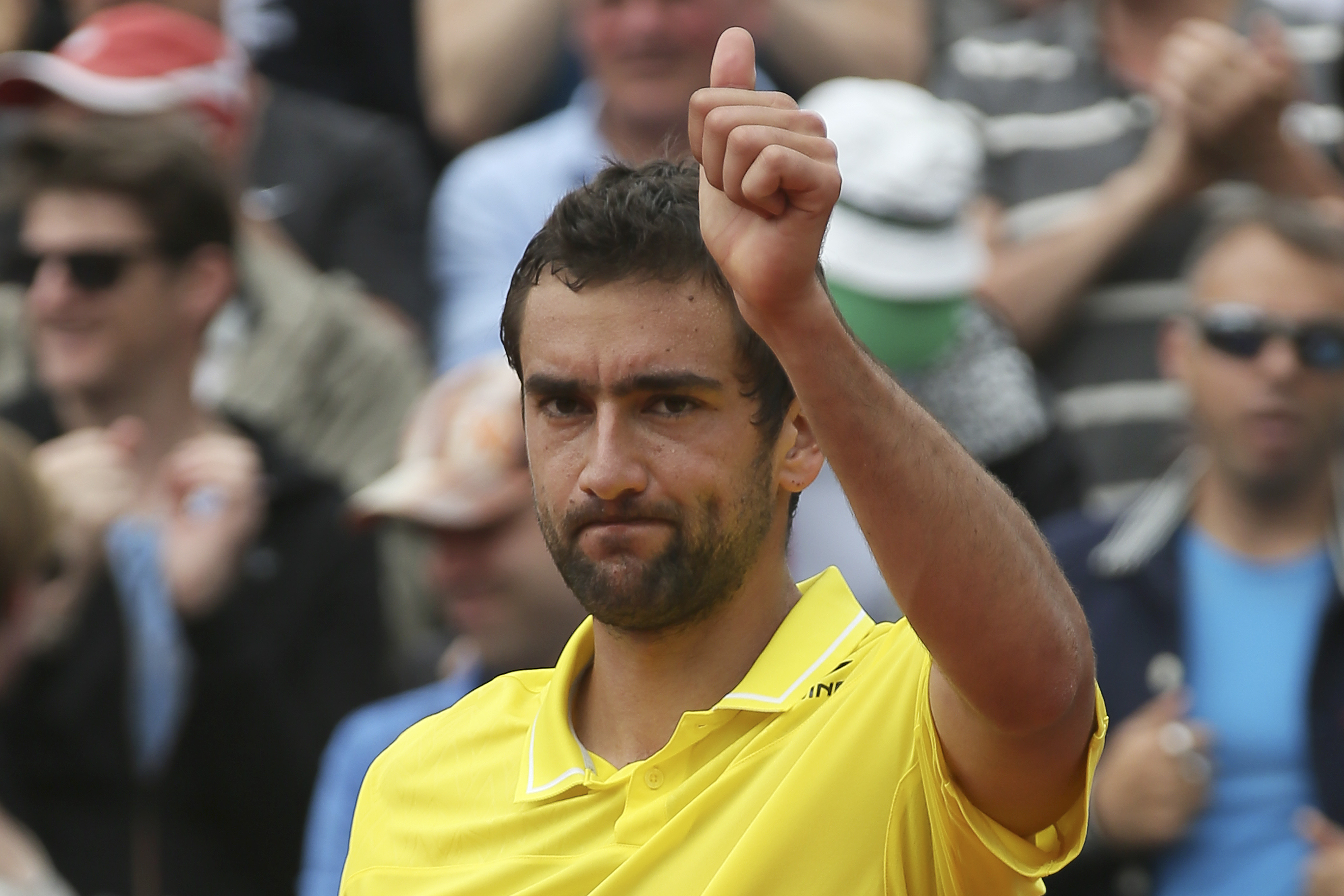 cilic_r8503.jpeg cilic_r8503.jpeg