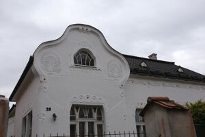 Vila Koreň s motívom pávov.