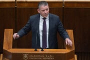Poslanec Roman Mikulec.