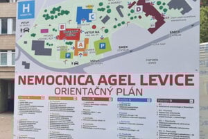 V levickej nemocnici sú od dnešného obmedzené návštevy na lôžkových oddeleniach.