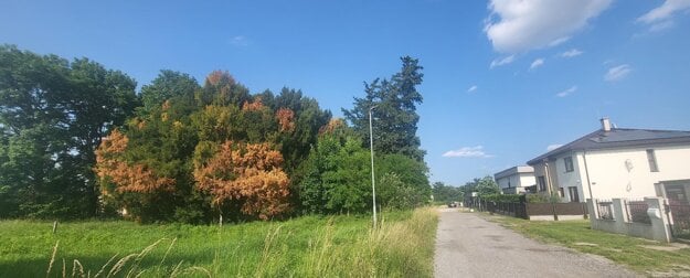 Niektoré parcely sú už zastavané. (zdroj: Korzár/Jana Ogurčáková)
