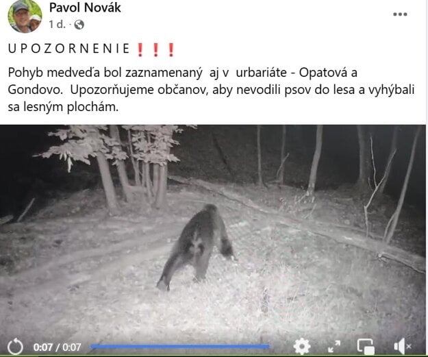 Oznam z 31. mája o výskyte medveďa v Novej Dedine.