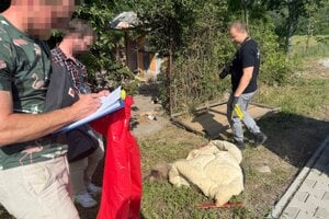 Muž psíka uviazal o kovovú tyč a následne ho mal niekoľkokrát udrieť drevenou nohou od stoličky do oblasti hlavy. 