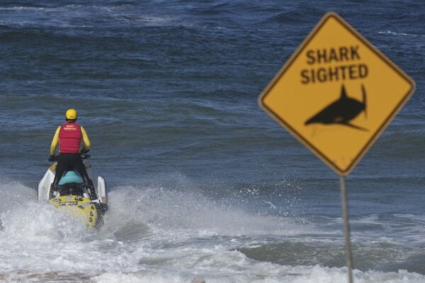 Hliadka na Dee Why Beach v Sydney.