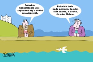 Pol na pol