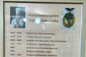 Miesta, kde pôsobil.