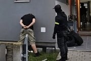 Muža zadržala polícia.