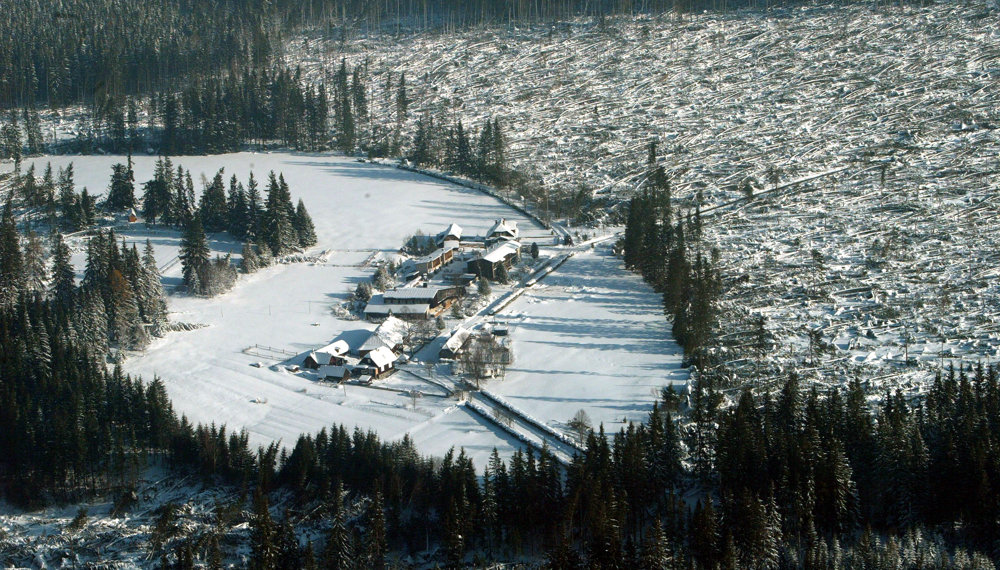 Podbanské po víchrici v roku 2004.