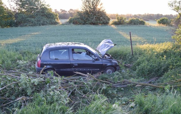 Auto skončilo v priekope, kde narazilo do stromu. (zdroj: (PZ SR))