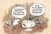 Karikatúra porno Roberta