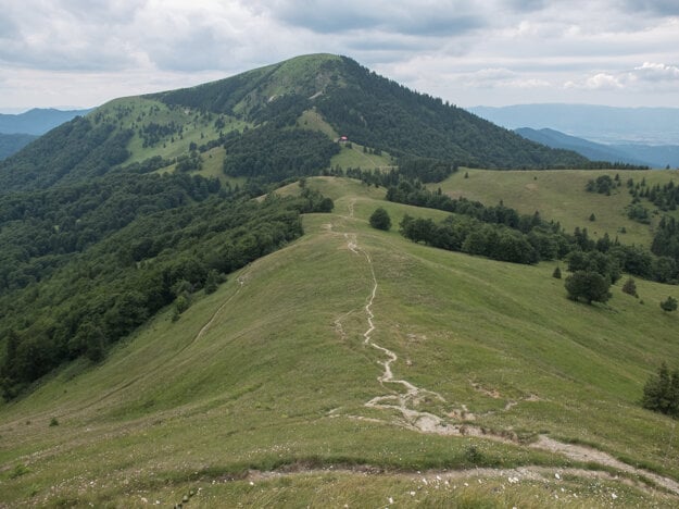 Chodník z Ploskej ku Chate pod Borišovom s vrchom Borišov v pozadí.