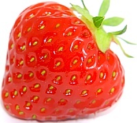 obr_02.jpg obr_02.jpg