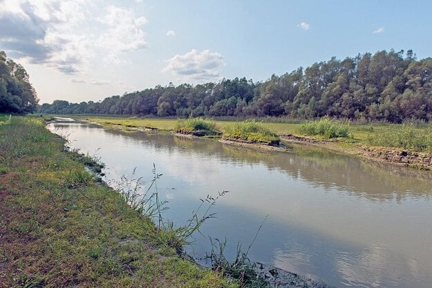 Veľkolélsky ostrov je jeden z najväčších ostrovov na našom úseku Dunaja. Je dlhý takmer 3900 metrov a v miestach, kde je najširší, dosahuje 950 metrov.