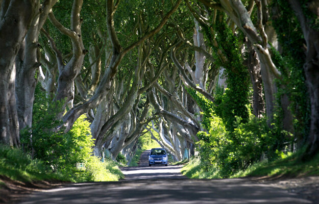 Známy chodník Dark Hedges zo seriálu Hra o tróny.