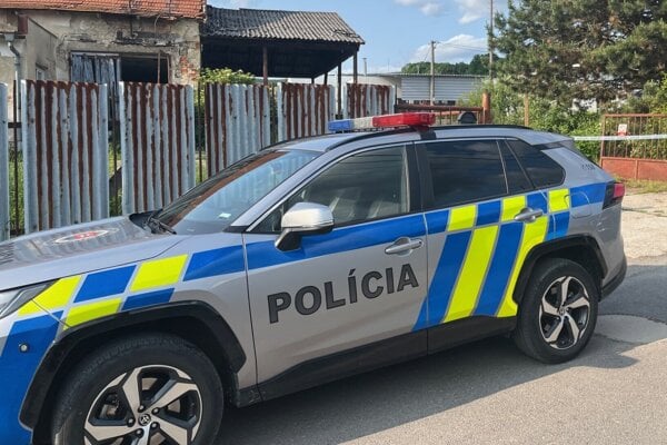 Policajná hliadka