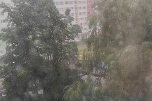 Na Čordákovej spadol strom na autá.