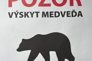 Takýto obrázok zverejnili v Zlatne. 