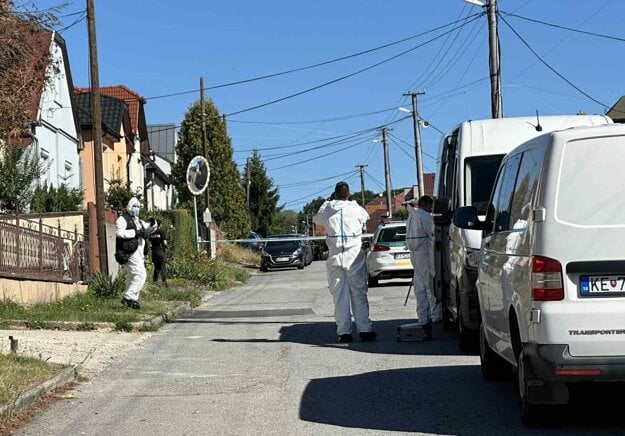 Vyšetrovanie skutku. (zdroj: LTS)