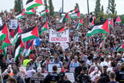 Pro-palestínske zhromaždenie.