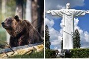 Pri vyhľadávanej turistickej atrakcii videli turistky medveďa. 