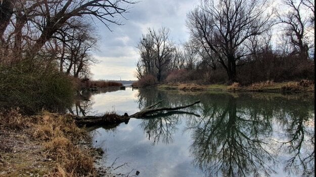 The Bratislava wilderness.