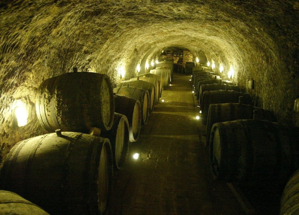 Volcanic tuffa cellars help Tokaj wines to mature their excellence.