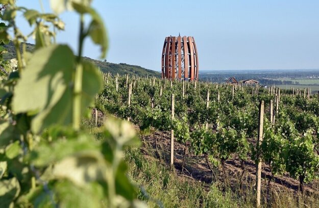 A lookout tower in the Tokaj wine region in south-eastern Slovakia.