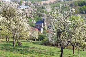 Springtime in the Slovak countryside. 