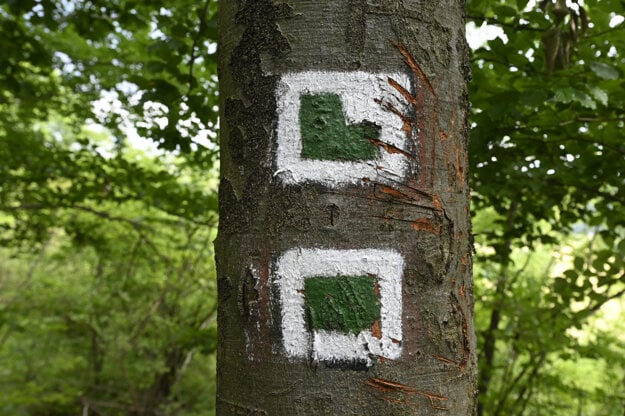 A coloured marker indicates the way to the ruins of Košeca Castle.