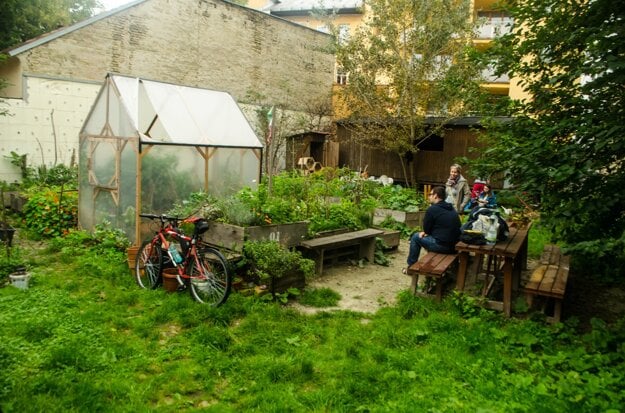 Community gardens have become popular in Bratislava.