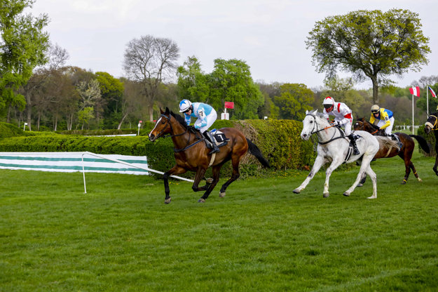 Horse racing, illustrative stock photo.