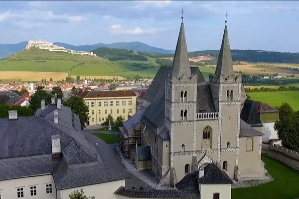 Chlpatý biela mačička čierny kohút