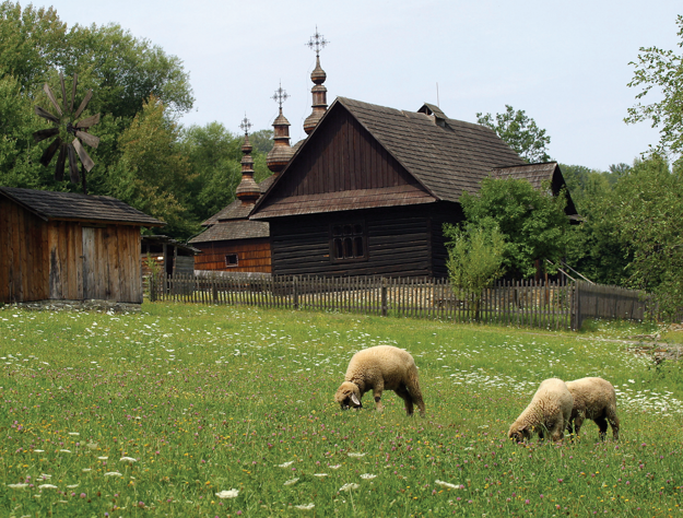 Sheep graze near a three-domed wooden church, Eastern Slovakia