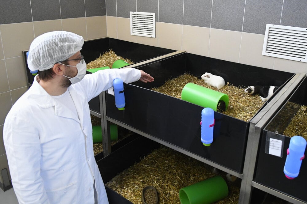 The Sputnik V vaccine is currently being tested by the Imuna Pharm company in Šarišské Michaľany. The animals that received the jab seem to be okay, the company said.