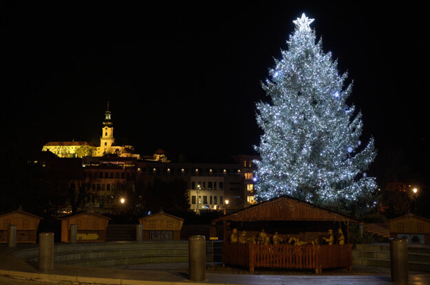 Nitra's Christmas tree had grown in the city since 1981 before it was cut down.