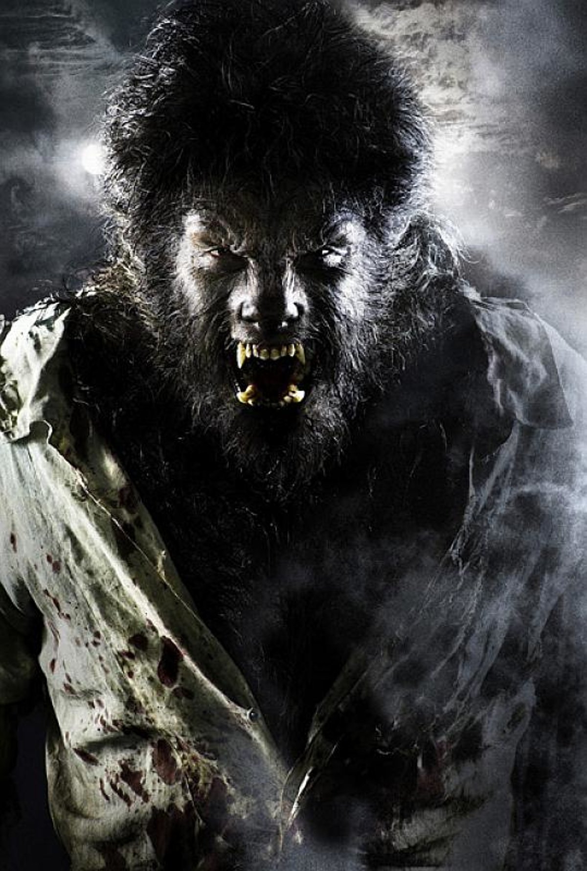 Wolfman Wolfman