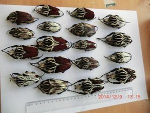 Seized goods at customs office.